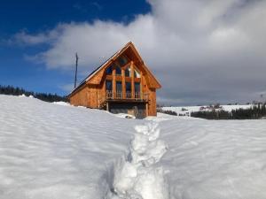 a log cabin in the snow with a pile of snow at Domek Rochowa Buźnica apartament 2 in Zakopane