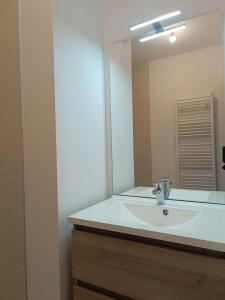 ein Badezimmer mit einem weißen Waschbecken und einem Spiegel in der Unterkunft Le Chaleureux in Annemasse + 8 Fotos