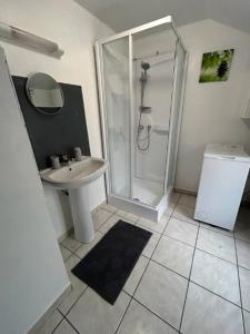 a bathroom with a shower and a sink at L'Envolée Mansardée - Center in Chartres