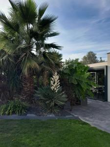 Zahrada ubytování Chambre d'hôtes Les Bruyères