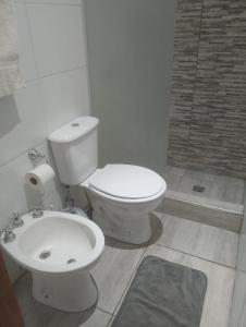 ein Badezimmer mit Toilette, Waschbecken und Dusche in der Unterkunft Casa y departamento en mismo domicilio para 10 personas in Barraquero