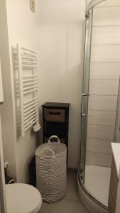 Koupelna v ubytování Studio Hyper centre - Ski