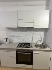 Kuchyň nebo kuchyňský kout v ubytování Sofia apartament