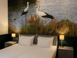 a bed with two birds standing in the water at "In de Kathoek" - Beste voorwaarden via eigen kanaal in Blokzijl