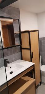 a bathroom with a sink and a mirror at Chez Mat in Lans-en-Vercors +9 photos
