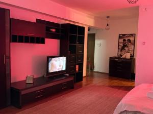 a bedroom with pink walls and a tv on a table at Abe Studio in Craiova