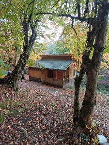 Zahrada ubytování Serin Mekan Lerik