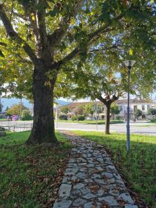 Κήπος έξω από το Spring Harmony Trikala Pigi +26 φωτογραφίες