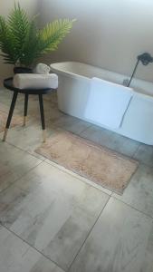 Fotografie z fotogalerie ubytování Fikani game lodge v destinaci Thabazimbi