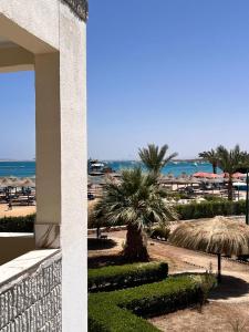 Fotografie z fotogalerie ubytování porto view red sea v destinaci Hurghada