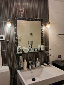 ein Badezimmer mit Waschbecken und Spiegel in der Unterkunft Bobby room in Rose resort, Ljubljana in Mrše