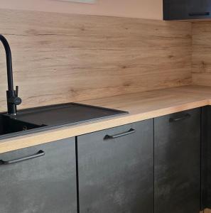 Η κουζίνα ή μικρή κουζίνα στο EMBRUN Appartement climatisé cosy 2 chambres au 1er étage pour 4 personnes au Barcarès