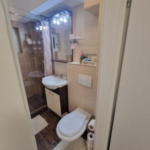 Un baño pequeño con inodoro y lavabo. en Apartament Flavia, en Craiova 35 fotos más