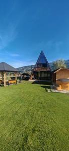 a building with a grassy field in front of it at A Frame Alpin in Vatra Dornei +33 photos