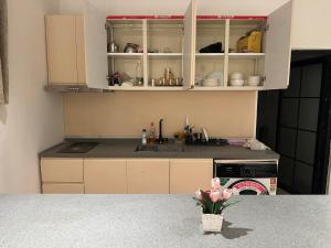 Η κουζίνα ή μικρή κουζίνα στο شقة رقم 2 +29 φωτογραφίες