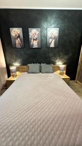 Postel nebo postele na pokoji v ubytování Apartament Kossaka