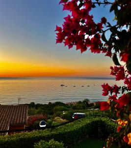 Φυσικό τοπίο κοντά σε αυτή η παραθεριστική κατοικία