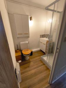 a small bathroom with a toilet and a glass door at Studio 4 pers Aux Angles in Les Angles