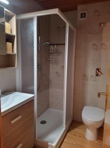 a bathroom with a shower and a toilet at Appartamento I Larici in Folgarida