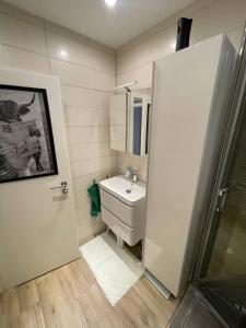 une petite salle de bain avec un lavabo et une douche dans l'établissement Zentrale Wohnung 1OG mit WLAN & Kaffee, à Paderborn