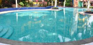 une grande piscine avec de l'eau bleue dans l'établissement Goan Cozy 2 Bedroom Abode, à Calangute