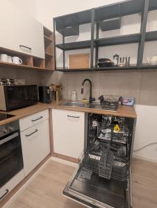 Kuchyň nebo kuchyňský kout v ubytování Samast Apartment + 18 fotografií