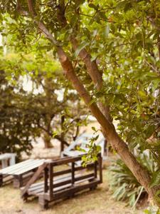 Κήπος έξω από το Aguas de marzo