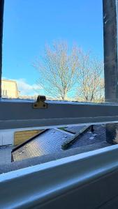 einen Blick von innen aus einem Fenster in der Unterkunft Armadillo Guest House- Adults Only in Edinburgh