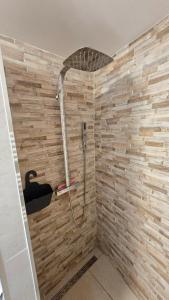 a shower in a bathroom with a stone wall at Geluk in Bettingen in Bettingen +28 photos