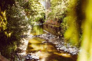 Příroda nedaleko kempu + 1 fotografie