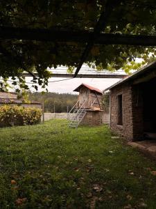 Vườn quanh Villa Tojo