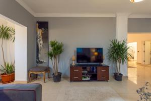ein Wohnzimmer mit einem TV und einigen Pflanzen in der Unterkunft 18th floor Nile View with Jacuzzi in Zamalek in Kairo