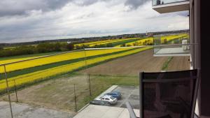 Fotografie z fotogalerie ubytování Panorama Biegusa 74 v destinaci Gliwice + 18 fotografií