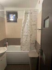 Koupelna v ubytování Apartament Calea București