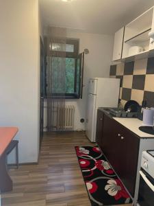 Kuchyň nebo kuchyňský kout v ubytování Apartament Calea București