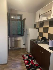 Kuchyň nebo kuchyňský kout v ubytování Apartament Calea București