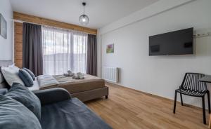 古多里New Gudauri Apartments in Twins的客厅里有一张沙发和一台电视 更多19张照片