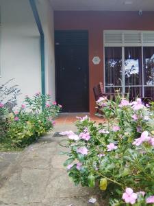 Φωτογραφία από το άλμπουμ του villa victoria divine σε Digana