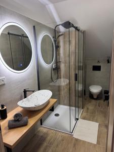 a bathroom with a shower and a sink at Apartmán Veronika in Humpolec