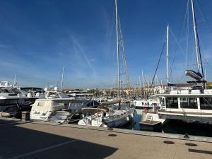 Φυσικό τοπίο κοντά σε αυτό το διαμέρισμα