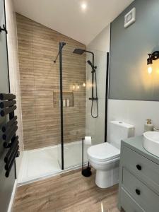 a bathroom with a shower and a toilet and a sink at The Summer House - Tiny Home with Hot Tub in Coity