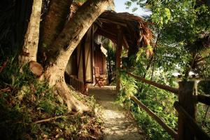 a house with a tree growing out of it at Casa Lamat in Bacalar