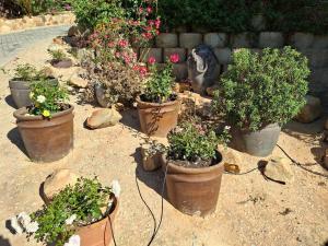 Fotografie z fotogalerie ubytování Large room in quiet north facing suburb v destinaci Knysna + 19 fotografií