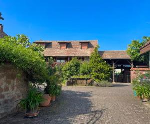 a courtyard with potted plants in front of a building at AlsAppart, duplex climatisé à 5 min de Colmar in Sainte-Croix-en-Plaine