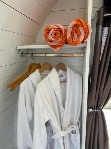 Fotografie z fotogalerie ubytování Dolafon luxury glamping pod 3 with hot tub v destinaci St Asaph