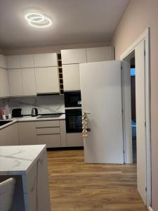 Η κουζίνα ή μικρή κουζίνα στο Aurora Apartament +12 φωτογραφίες