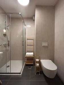 une salle de bains avec douche, toilettes et lavabo dans l'établissement Studio apartment ASKA, à Jahorina