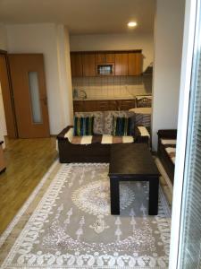 Fotografie z fotogalerie ubytování Apartment v destinaci Kosovska Mitrovica