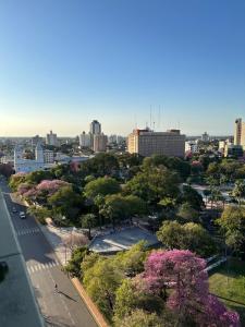 a view of a city with trees and buildings at Departamento Resistencia Centro in Resistencia