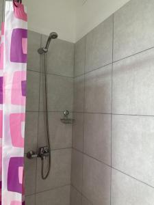 a shower with a shower head in a bathroom at Departamento Resistencia Centro in Resistencia +17 photos